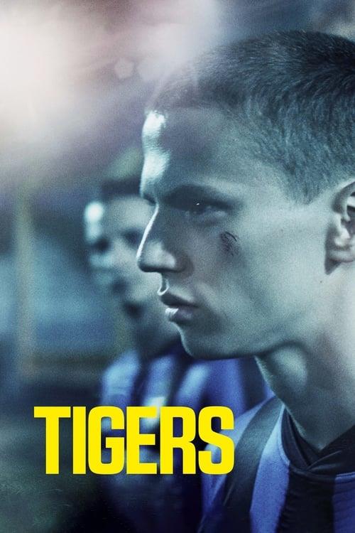 Tigrar (2020)